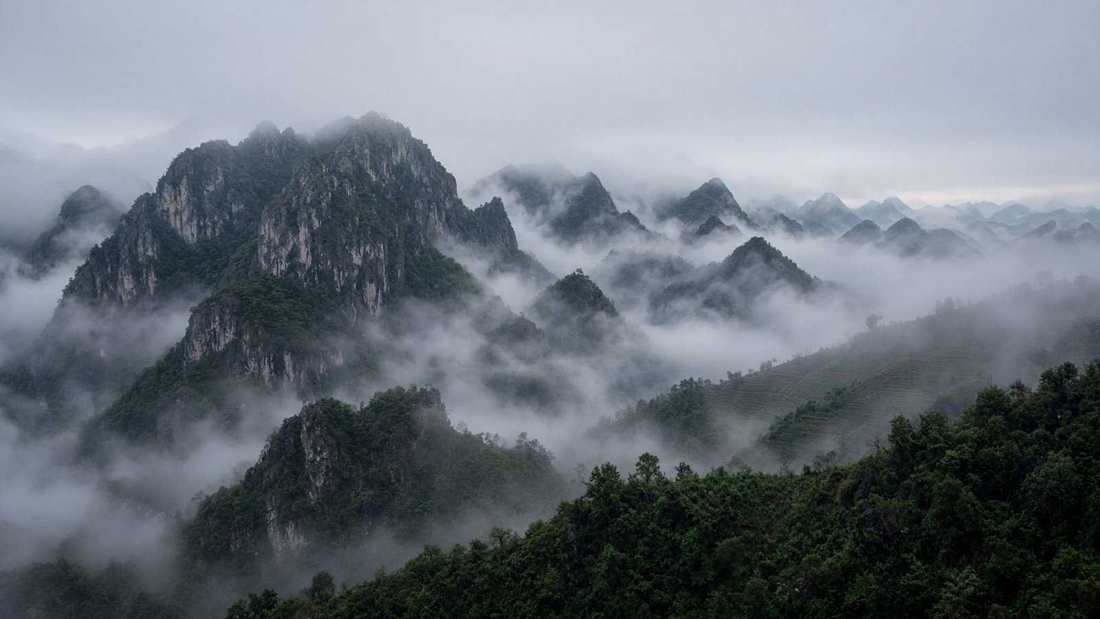 misted northern Vietnamese mountains.